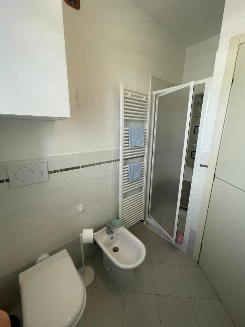 Shower, Toilet, Bathroom, bidet