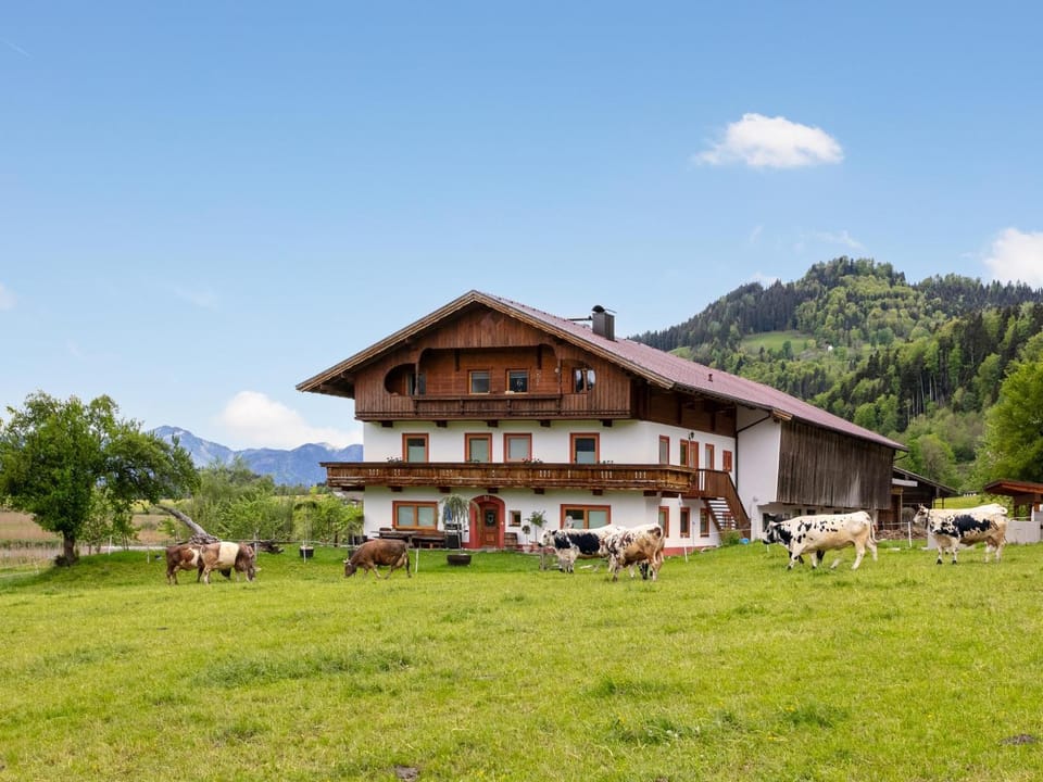 Property building, Summer