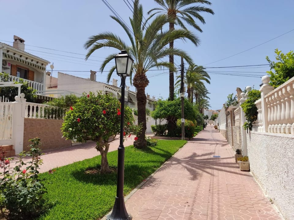 Property building, Garden, Garden, Garden view