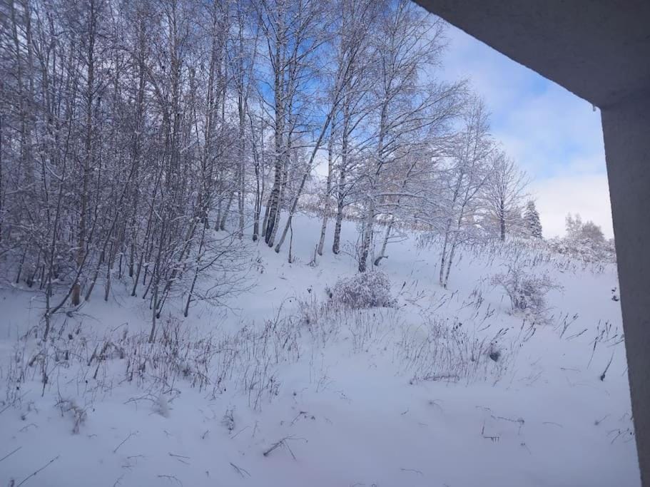 Studio plein centre des 2 Alpes Apartment in Les Deux Alpes