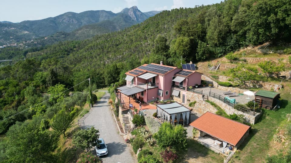 Spring, Natural landscape, Bird's eye view, Mountain view