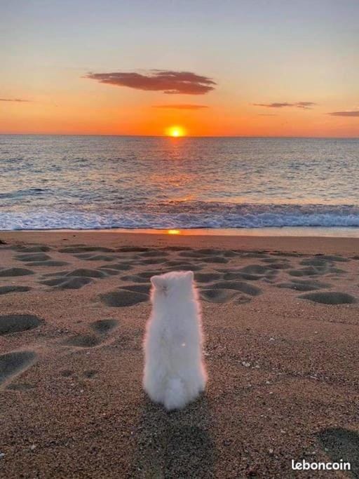 Sea view, Sunset