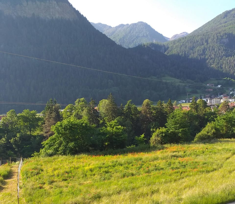 Day, Natural landscape, View (from property/room), View (from property/room), Mountain view