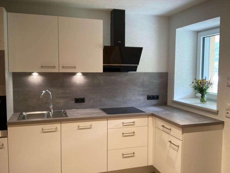 Kitchen or kitchenette, dishwasher, stove, kitchen