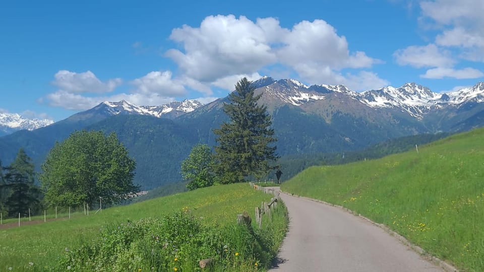 Day, Mountain view