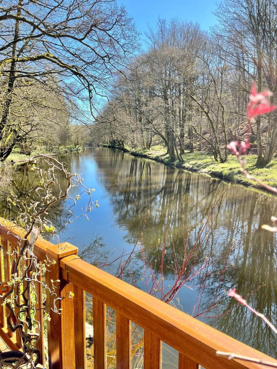 Natural landscape, River view