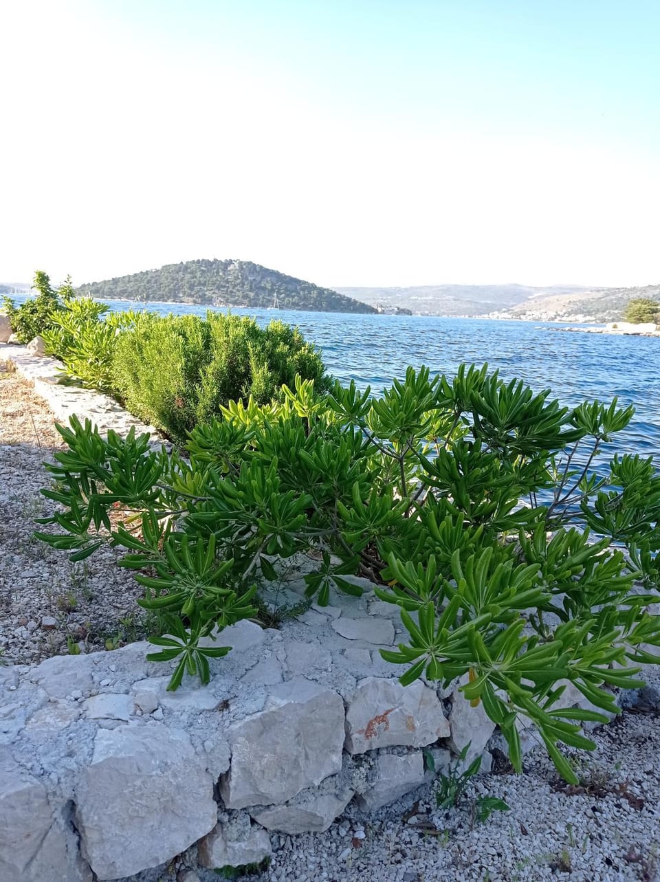 Day, Natural landscape, View (from property/room), Balcony/Terrace, Beach, Sea view