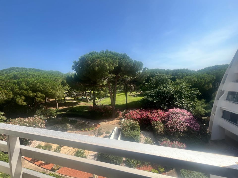 Natural landscape, Garden, Garden view