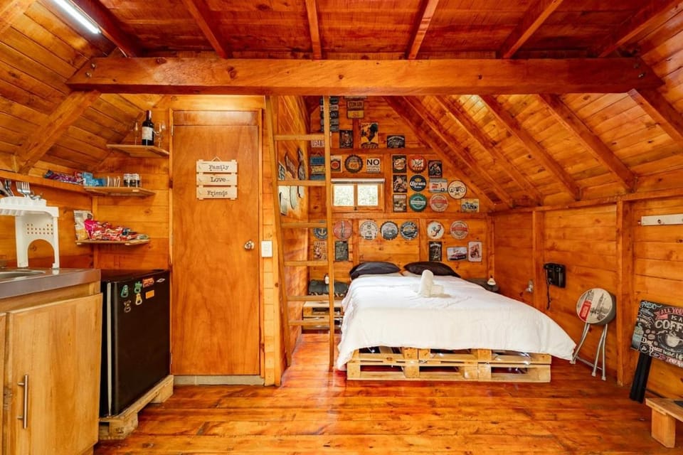 Bed, Photo of the whole room