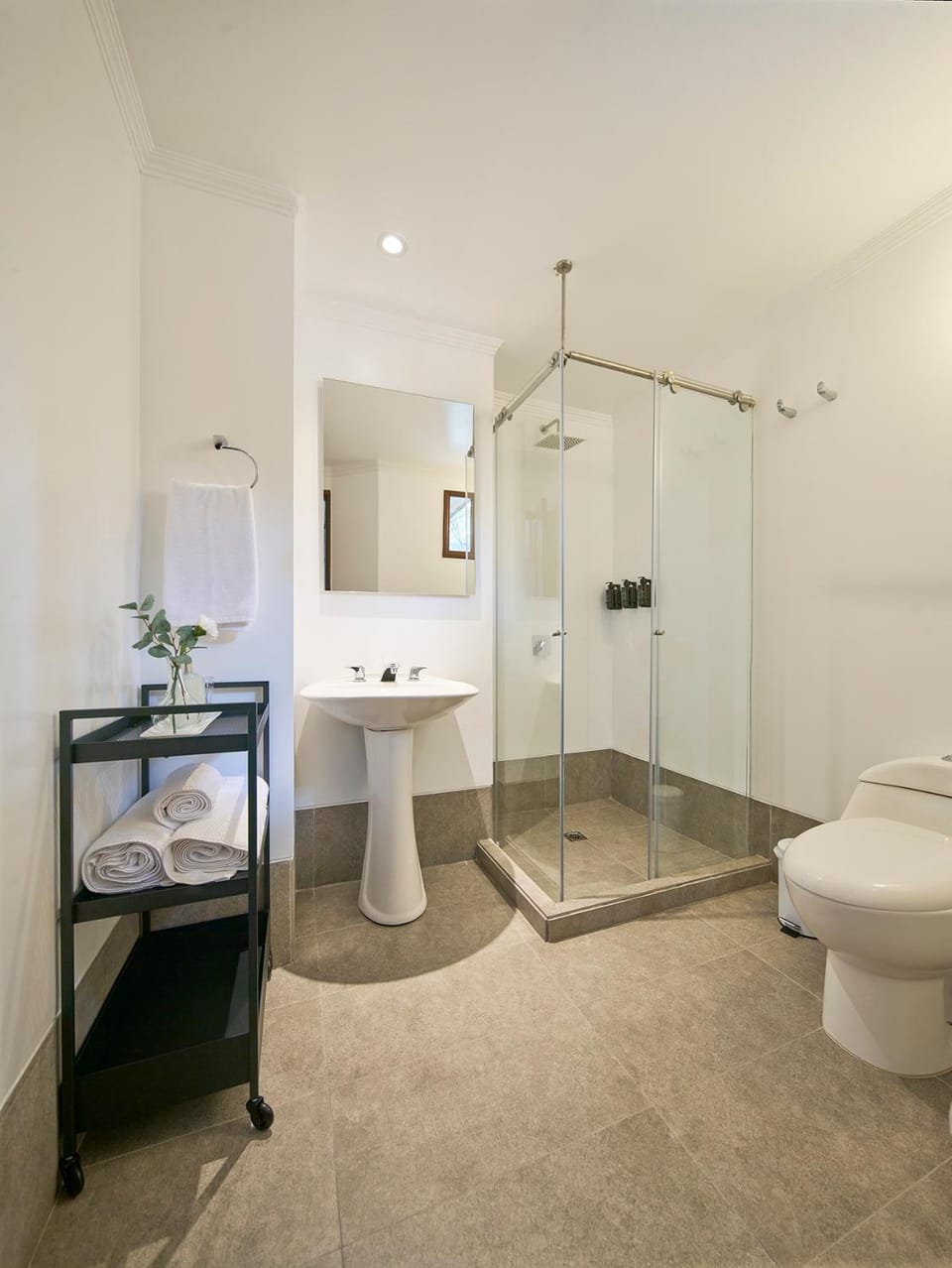 Shower, Toilet, Bathroom, towels