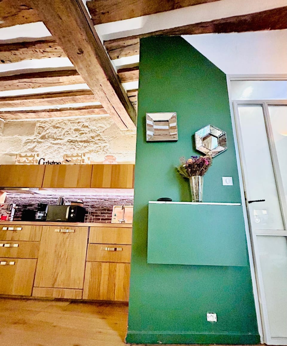 Splendid atypical loft st germain Apartment in Paris