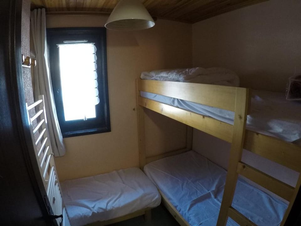 Studio 4 pers avec balcon, animaux et parking - FR-1-676-81 Apartment in Châtel
