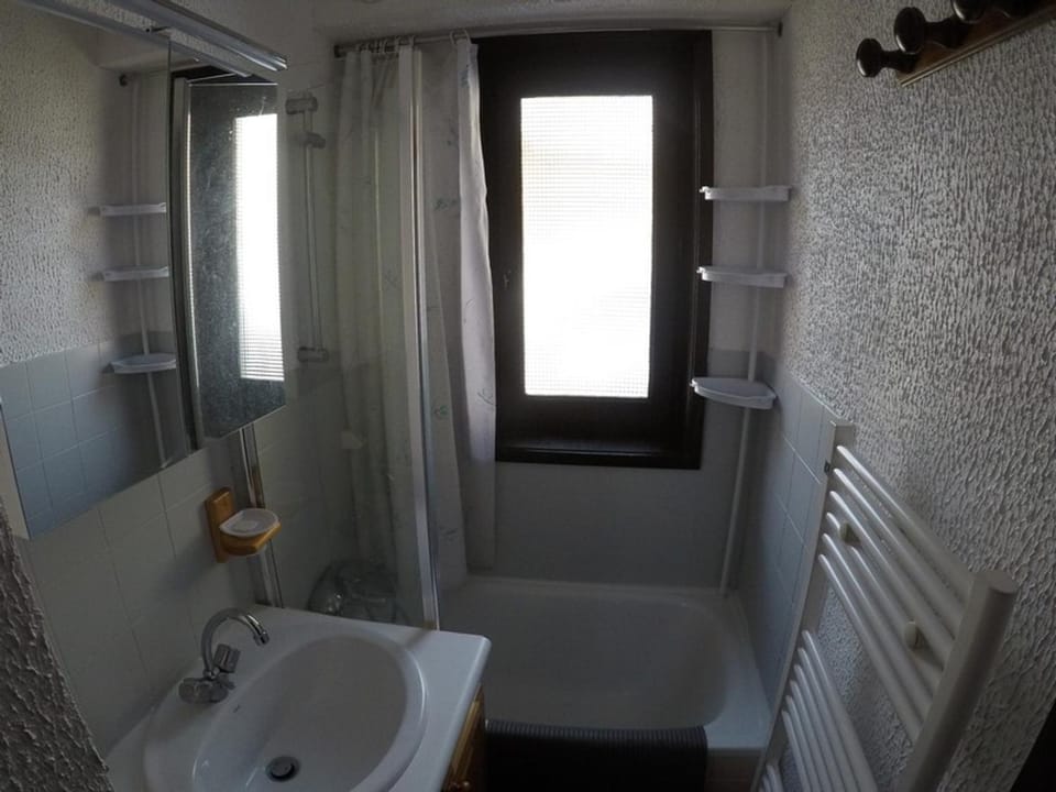 Studio 4 pers avec balcon, animaux et parking - FR-1-676-81 Apartment in Châtel