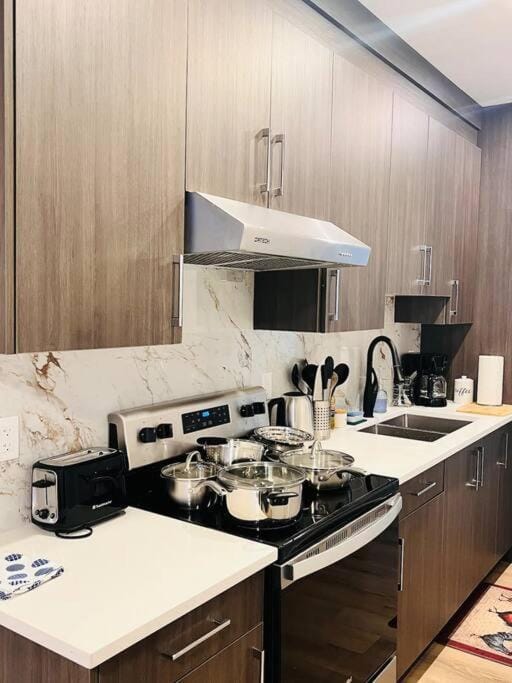 B19 Modern Stylish 2bed Basement Suite House in Edmonton