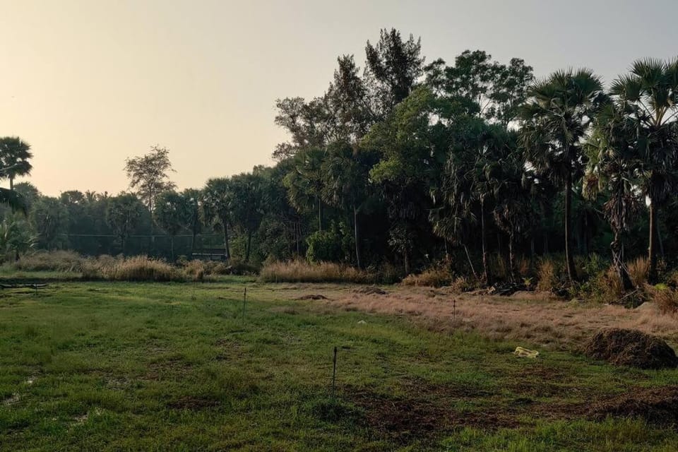 Natural landscape