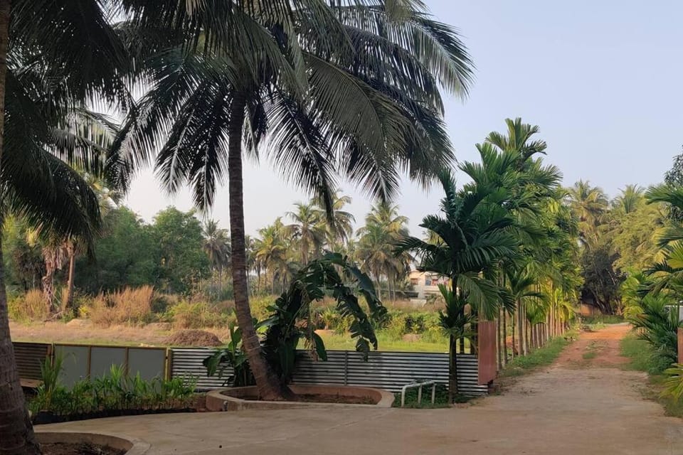 Garden view