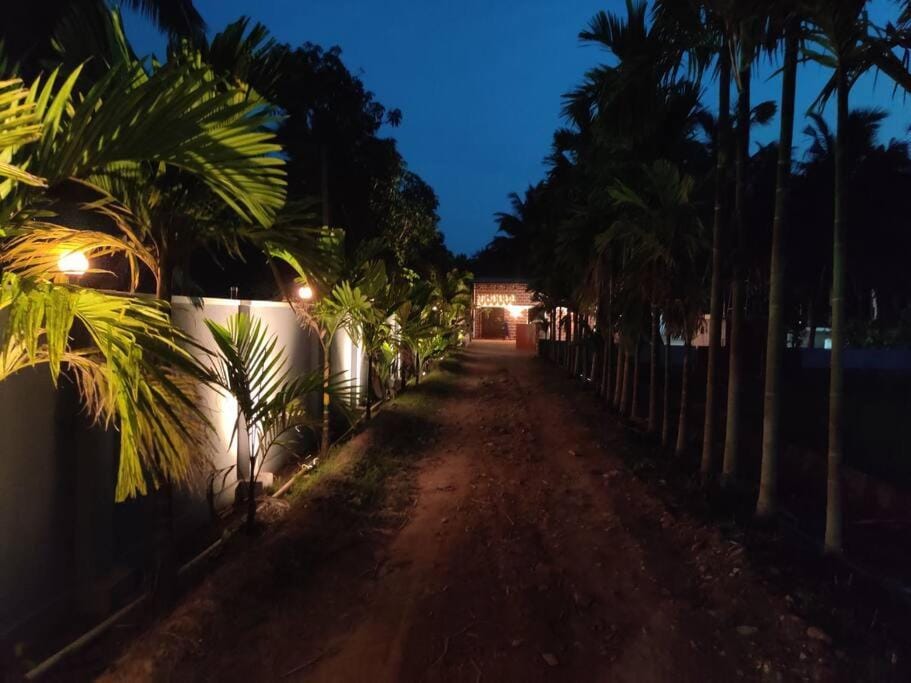 Night, Garden view