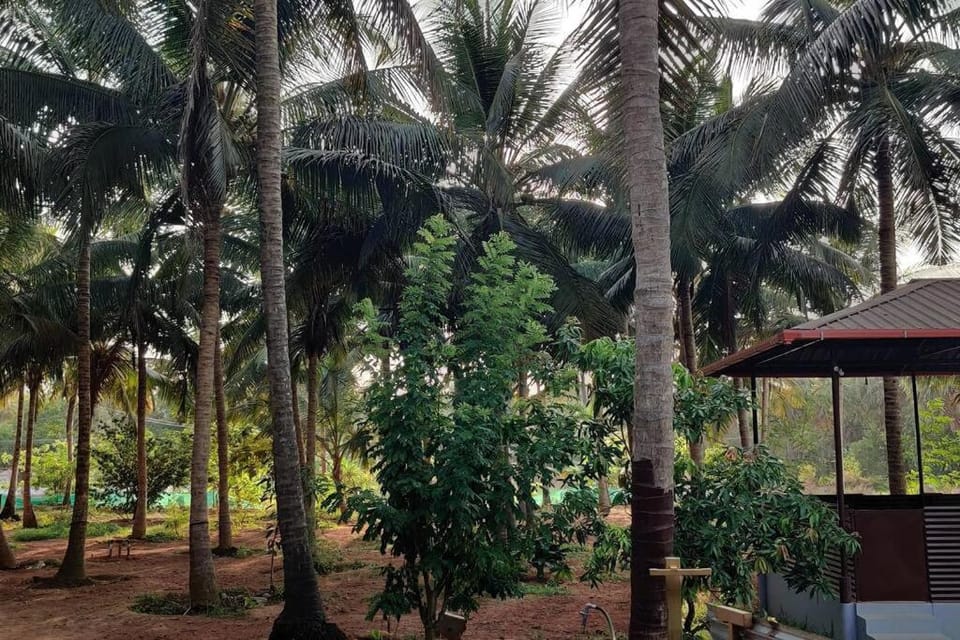 Day, Garden view