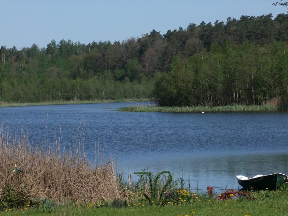 Lake view