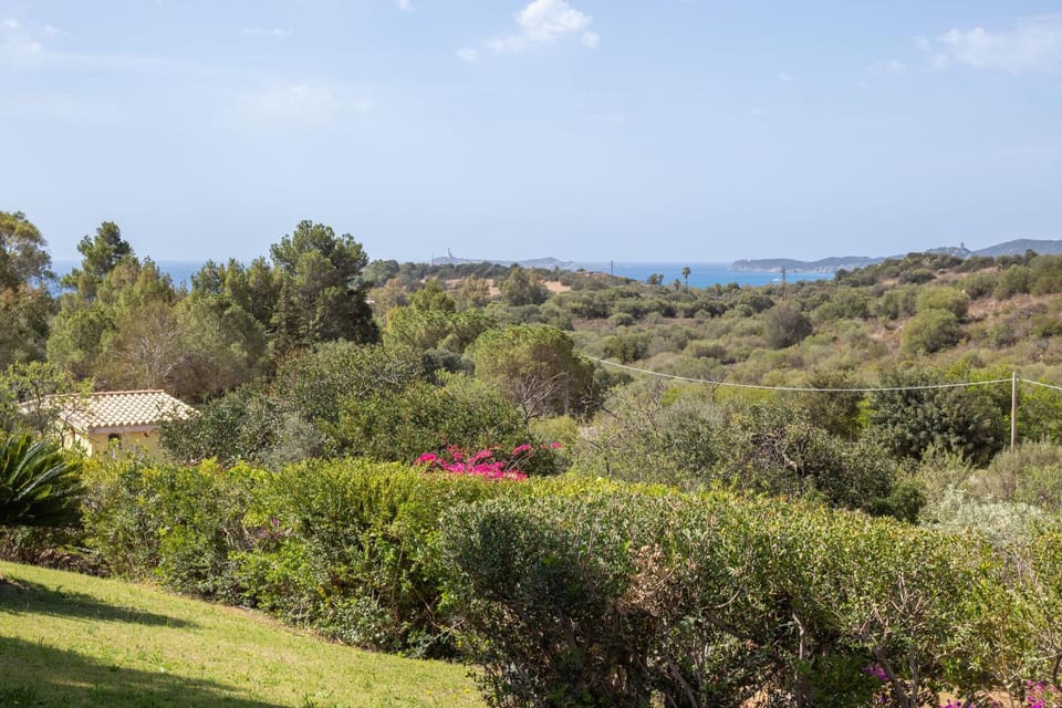 Sea view