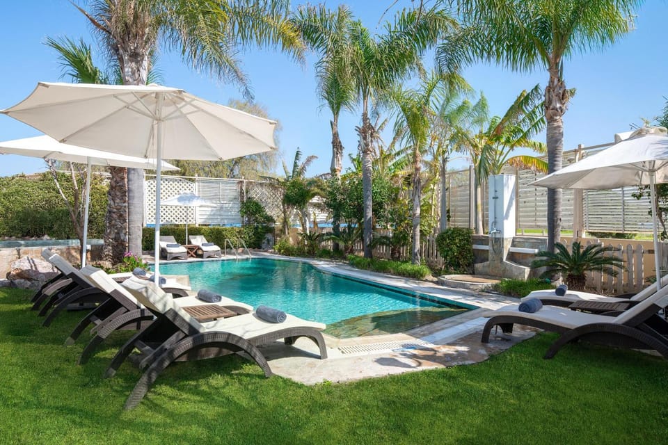 Patio, Spring, Pool view, Swimming pool, sunbed
