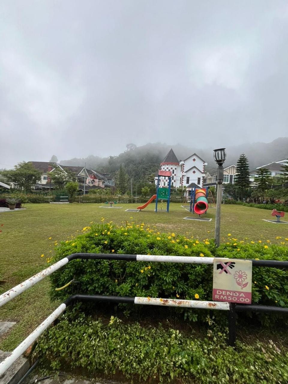 Garden view