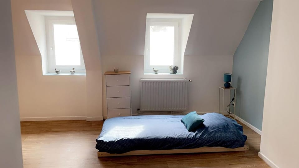 COSY TRIPLEX PLEIN CENTRE maison de ville Apartment in Hauts-de-France
