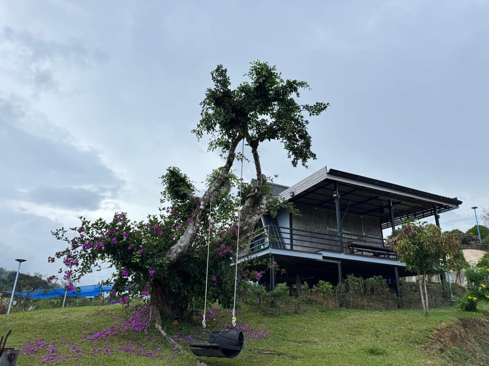 Freedom home khaokho House in Thailand