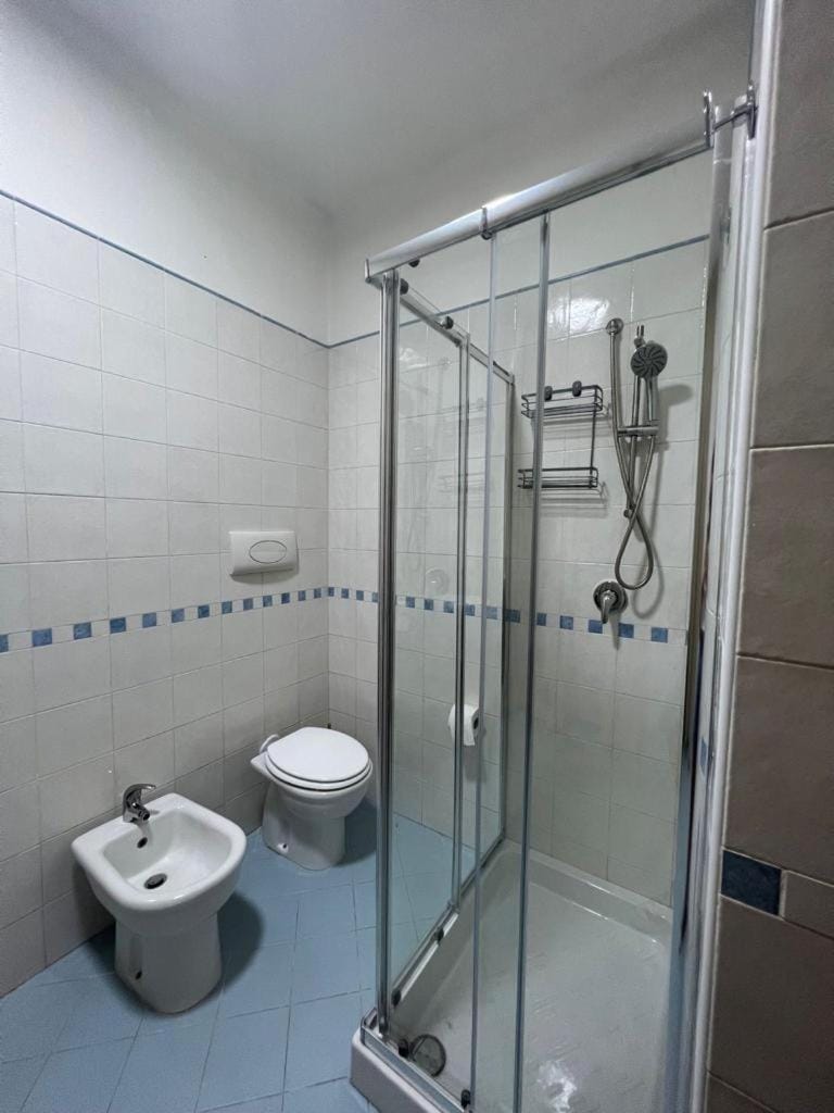 Shower, Toilet, Bathroom, bidet