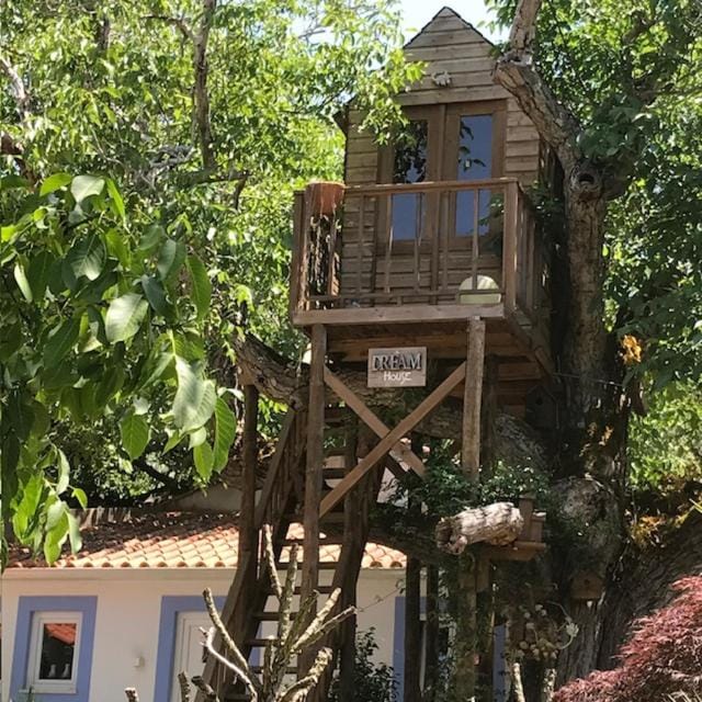 Casa Oliva - Casa da Lenha Apartment in Santarém District, Portugal