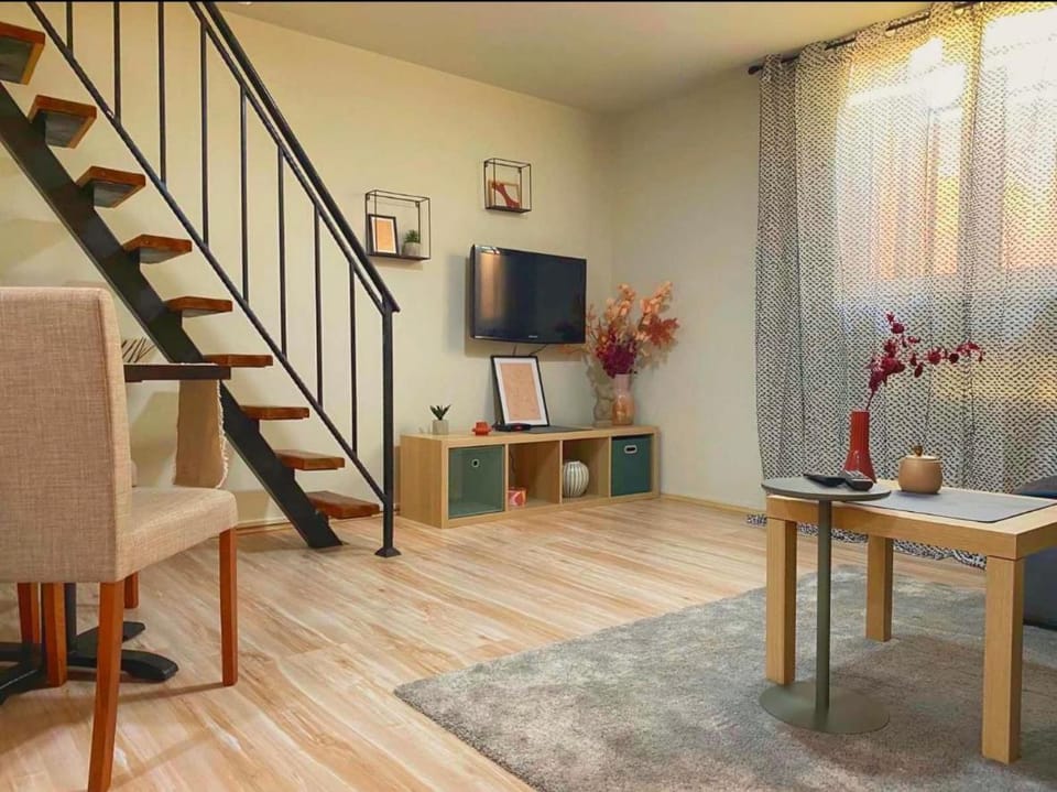 Central family apartment Apartment in Belgrade
