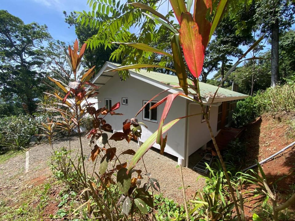 Casa CISCO Maison Privée vue sur mer House in Puerto Viejo Talamanca