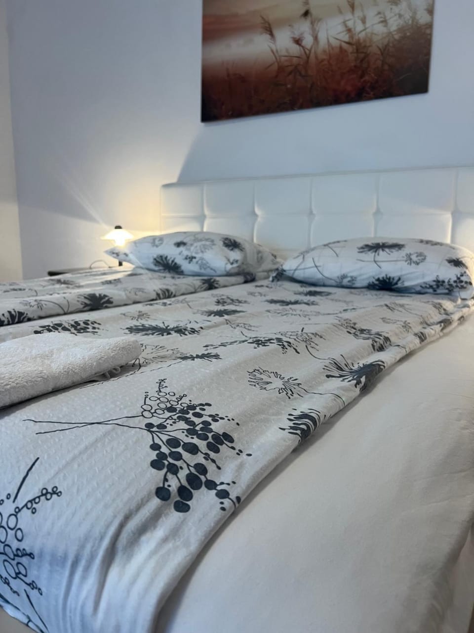 Nedi's Nest - Cozy Countryside Retreat Under Palmtrees Apartment in Slovenia