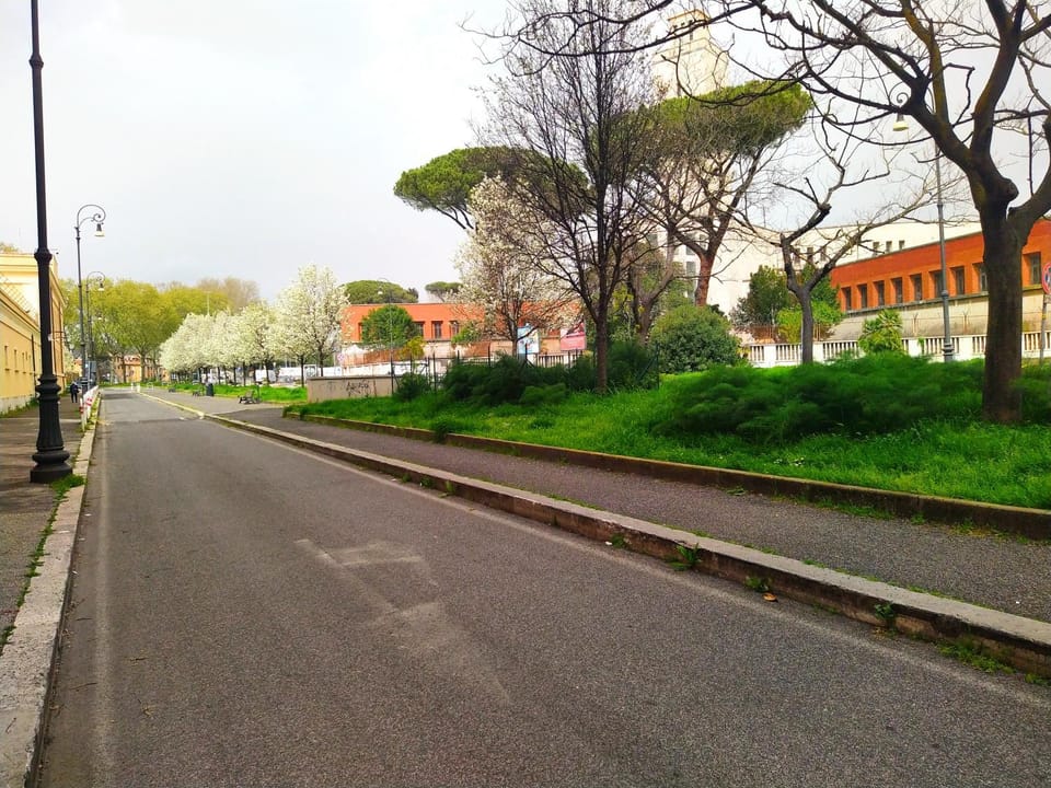 Neighbourhood