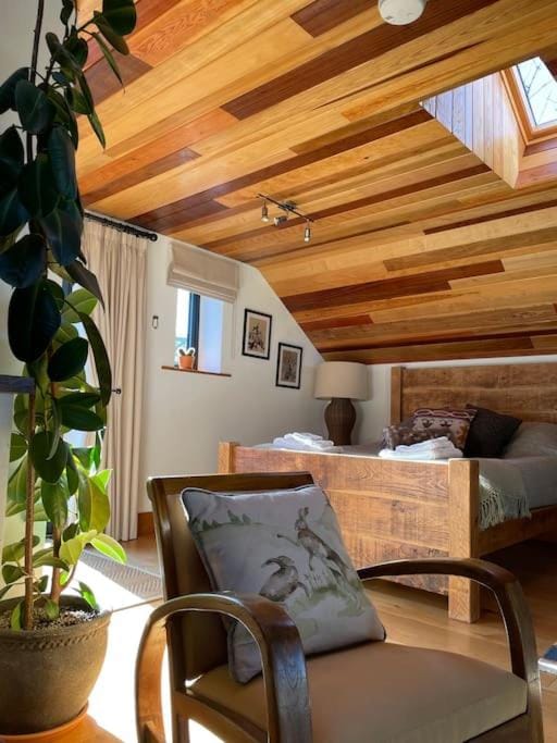 Bed, Seating area, Bedroom