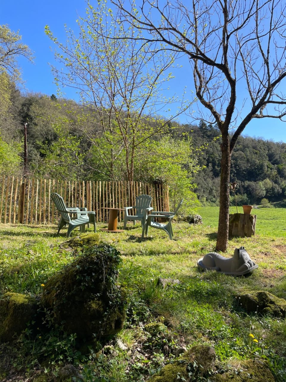 Gîte dans les Cévennes House in Occitanie