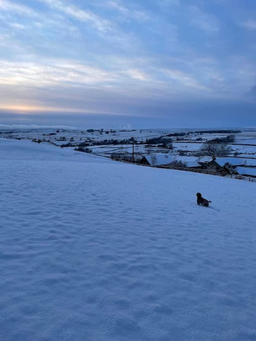 Natural landscape, Winter