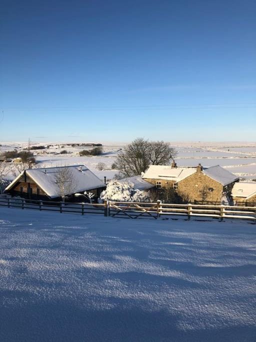 Natural landscape, Winter
