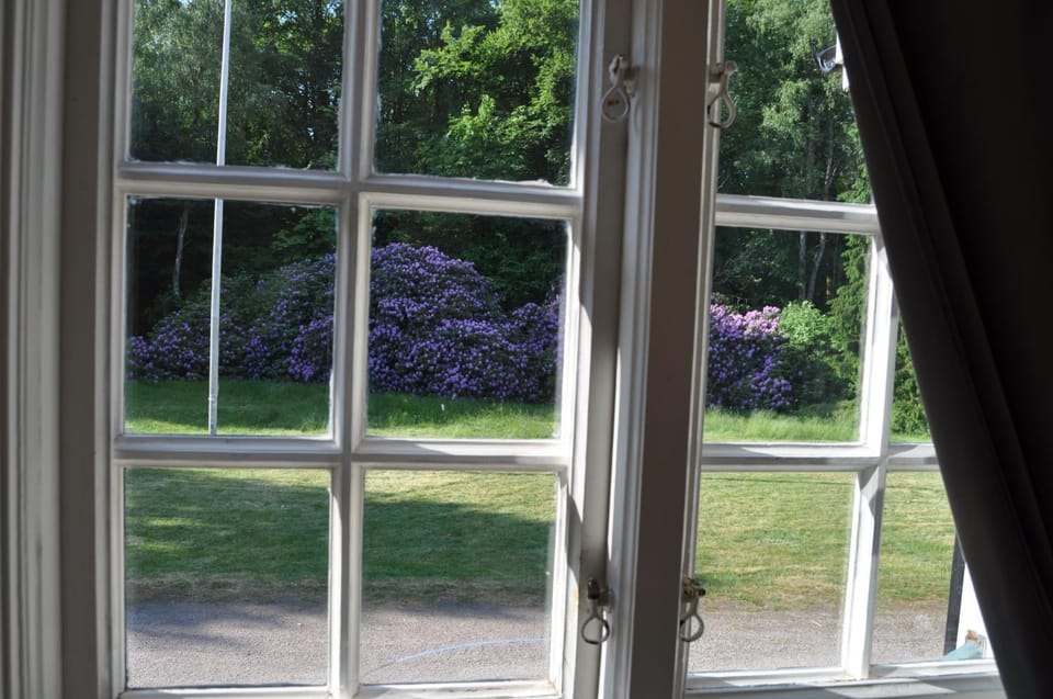 View (from property/room)