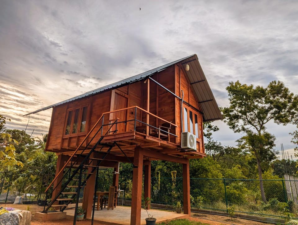 Lion Wood Treehouse Villa in Dambulla