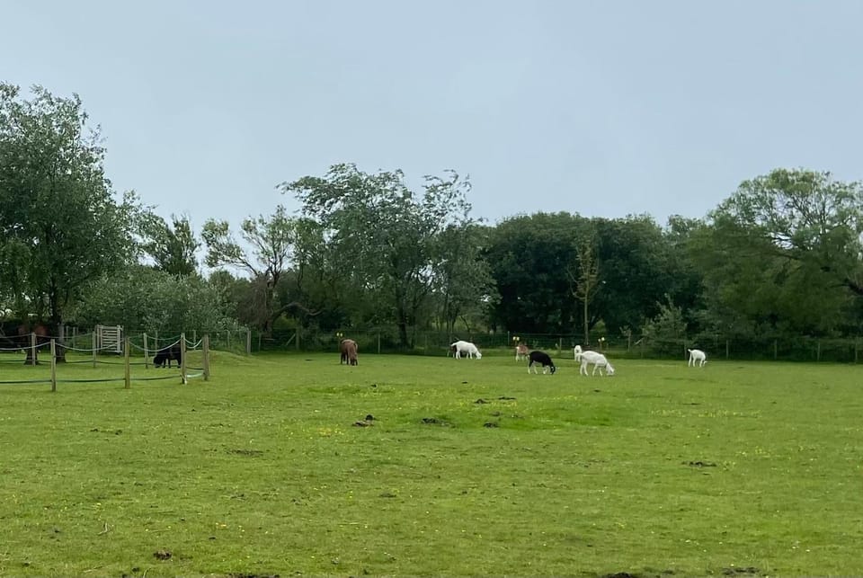 Pen llyn holiday cottages and caravan House in Rhosyr