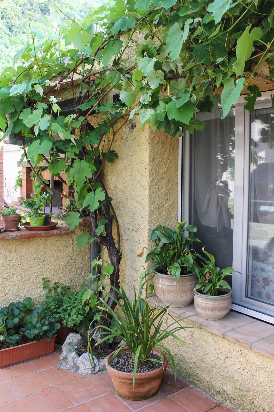 Property building, Garden, Garden view