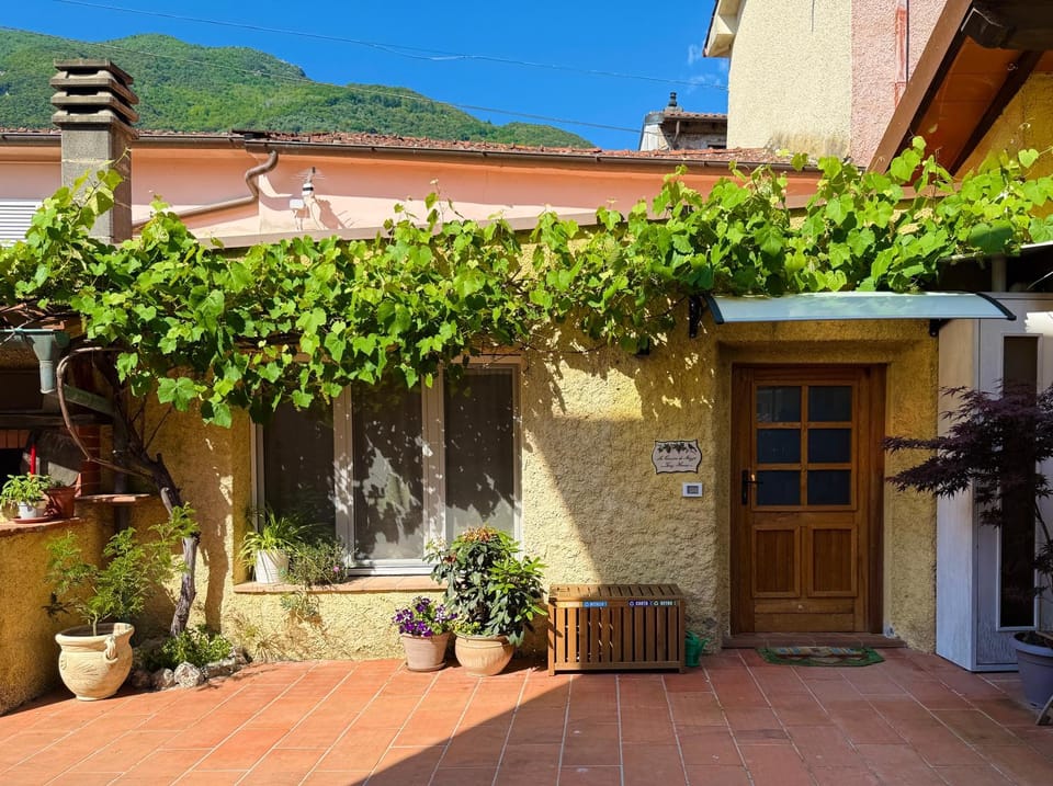 Property building, Garden