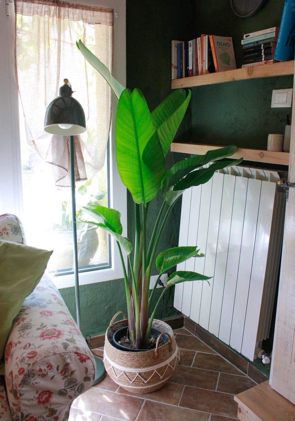 Library, Living room, Seating area