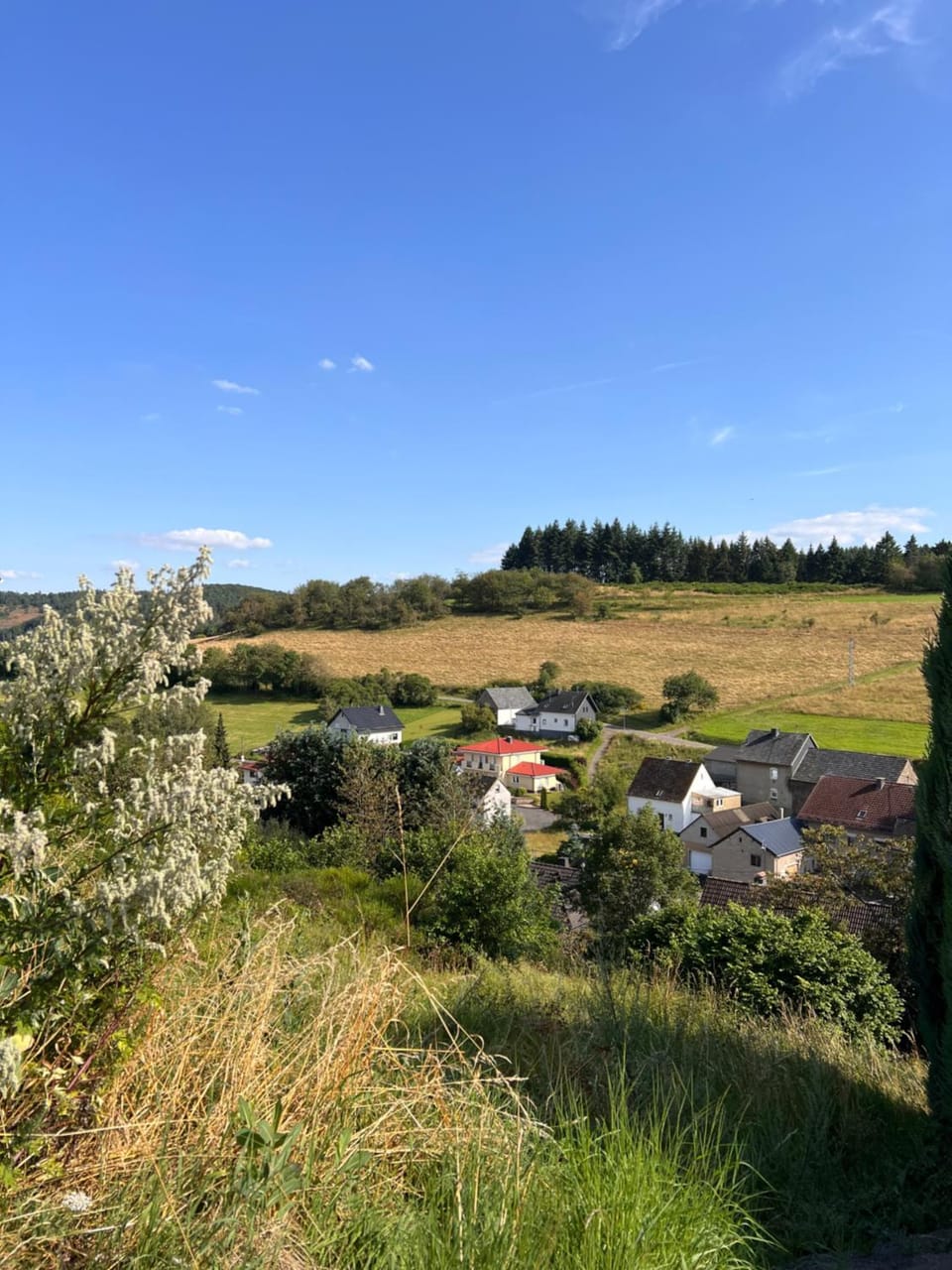 Natural landscape, Garden