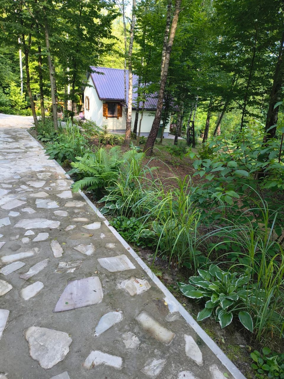 Hacienda - Domek w Lesie z Prywatnym Jacuzzi Apartment in Poland