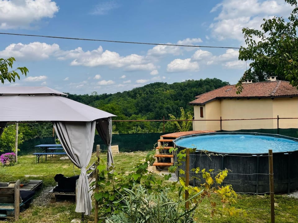 Natural landscape, Garden, Garden view, Swimming pool