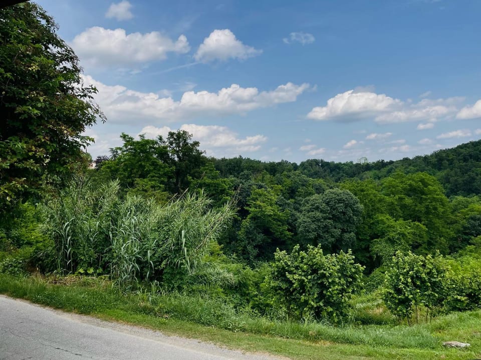 Natural landscape