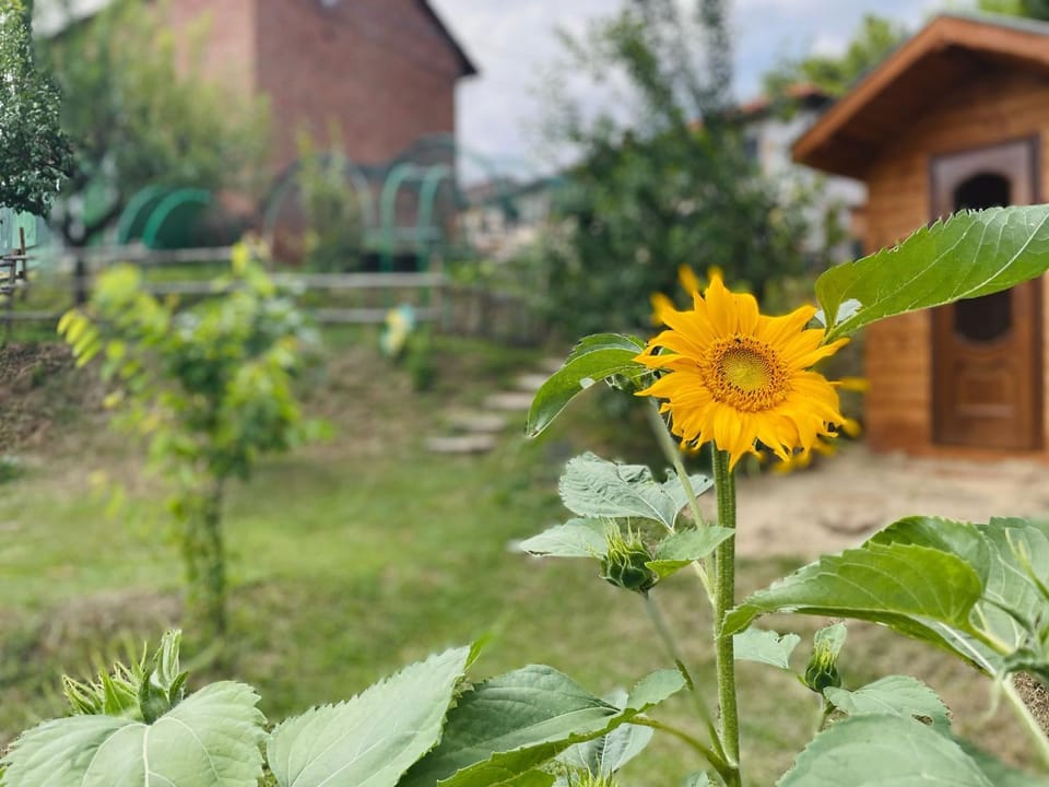 Garden, Garden view