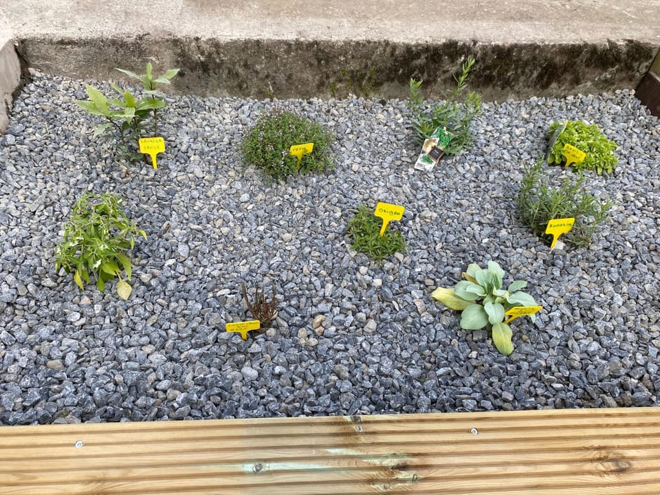 My Little house House in Trois-Ponts